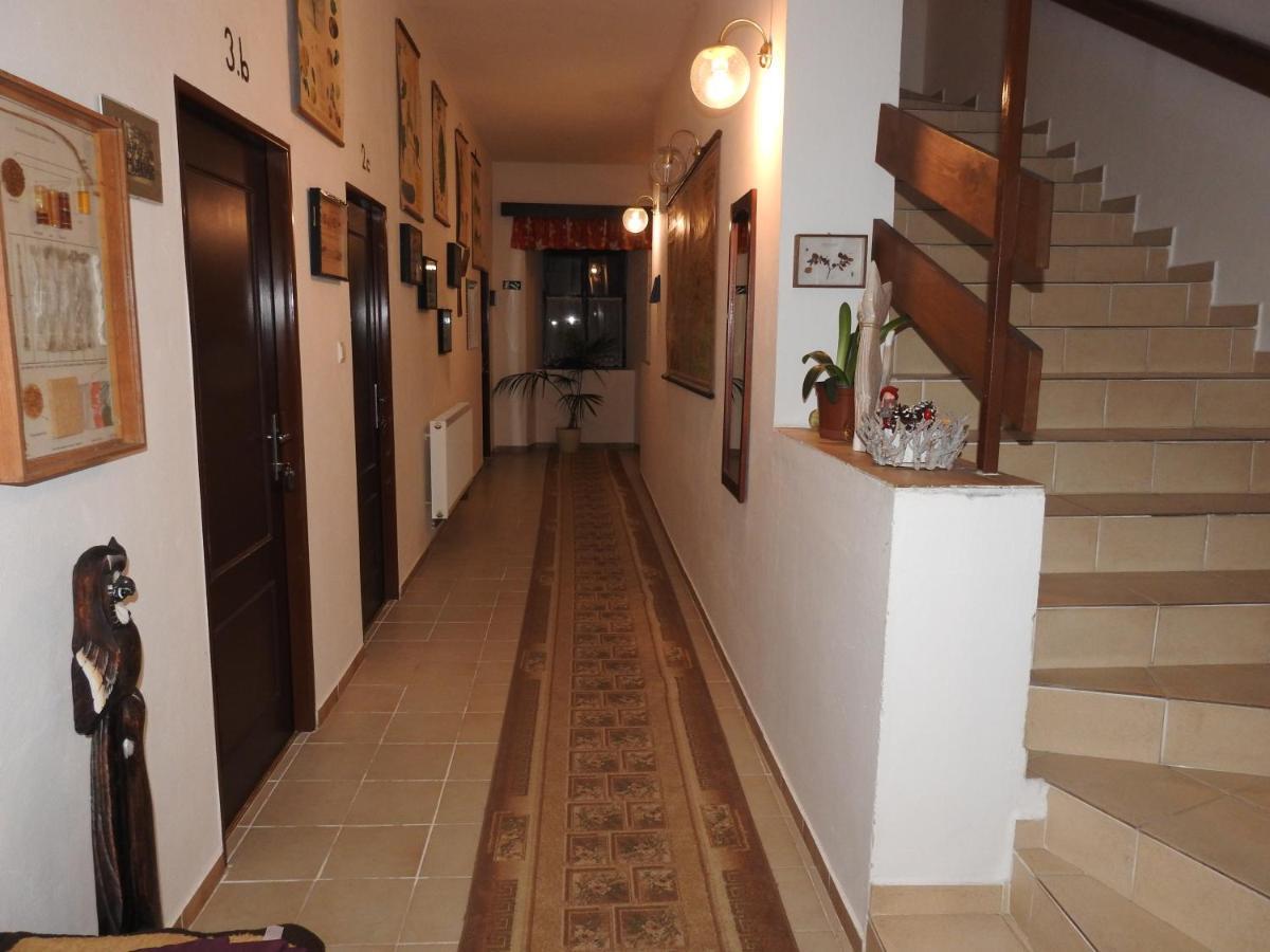 Hotel Stara Skola Na Sumave Hořice na Šumavě Dış mekan fotoğraf