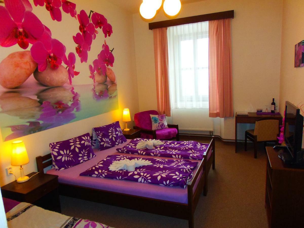 Hotel Stara Skola Na Sumave Hořice na Šumavě Dış mekan fotoğraf